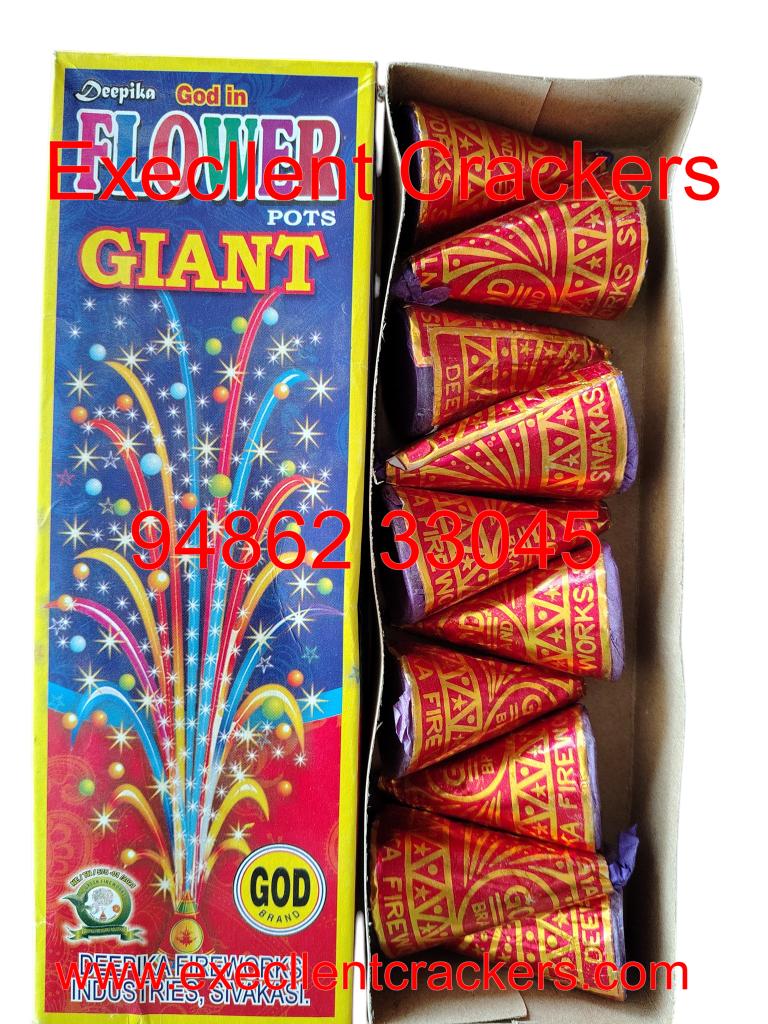 Flowerpot_ Giant - Excellent Crackers