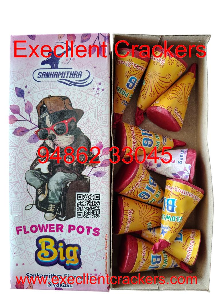 Flowerpot_ Big - Excellent Crackers